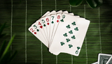 Succulent Deck (Special Edition Foil Case) - Playing Cards
