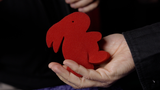 Magic Sponge Bunny Rabbit Set (Red) - Trick