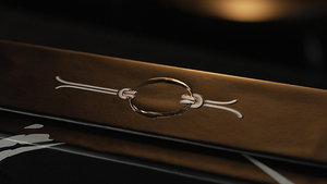 WGM Ring On Rope (set) by Murphy's Magic - Trick