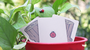 Lucky Ladybug (Gimmicks and Online Instructions) - Trick