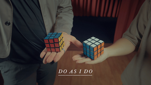 Crazy Sam's Paradox Cube - Trick