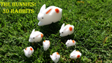 The Bunnies! Multiplying Sponge Rabbits by Trick Supply - Trick