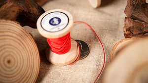 Needle Thru Coin by Nathan Kranzo and TCC - Trick