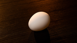 The Egg by Murphy's Magic - Trick