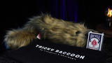 Tricky Raccoon by Liang Kuai & Amor Magic - Trick