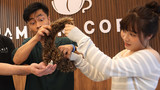 Tricky Raccoon by Liang Kuai & Amor Magic - Trick