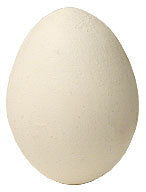 Wooden Eggs (from Various Vendors) - Trick
