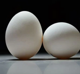 Silk To Egg from Viking Magic - Trick