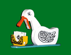 Educated Card Duck (Various Vendors) - Trick