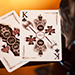 Chrome Kings Players Limited Edition Playing Cards by De'vo vom Schattenreich and Handlordz