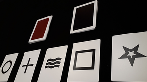 Beyond ESP 3 2.0 by Magicbox - Trick