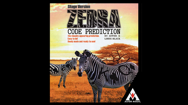 Zebra Code Prediction - Stage Version – Magic Inc.