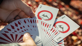 Hinode Playing Cards - Playing Cards