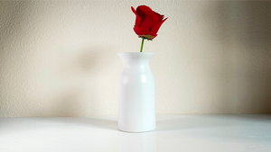 Snowflake Vase by Leon and Leno - Trick