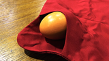Egg Bag (Malini or Tarbell) by Bacon Magic - Trick