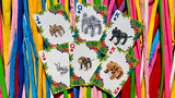 Bicycle Balloon Jungle Deck - Playing Cards