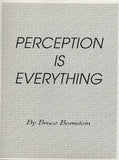 Perception is Everything by Bruce Bernstein - Book
