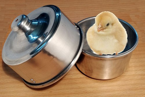 Production Chick Pan Single Load - 4" Load (FT) - Trick