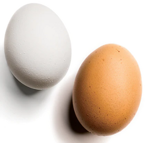 Egg Replica (For Egg Bag Routine) by Viking Magic - Accessory