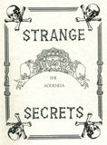 Strange Secrets The Addenda by R.S. Glover - Book