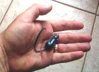 Magic Mouse - Ultimate Pitch Item - Trick