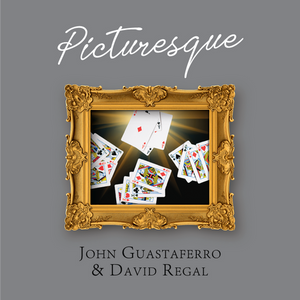 Picturesque by John Guastaferro & David Regal - Trick