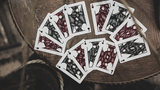 Sensory Playing Cards by TCC