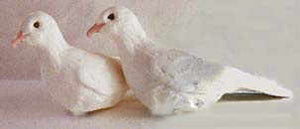 Nielsen Living Latex Dove - Supply
