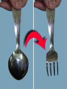 Spoon to Fork - Trick