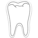 The Whole Tooth