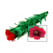 Blooming Blossom -Trick